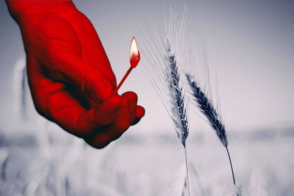 Czy Ukraina pali własne zboże?